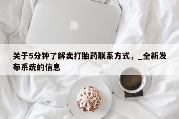 _全新发布系统 第11页