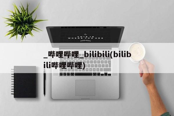 _哔哩哔哩_bilibili